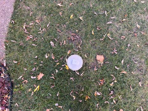 Tiny photo for 17218 Park Avenue, Lansing, IL 60438 (MLS # 12510519)