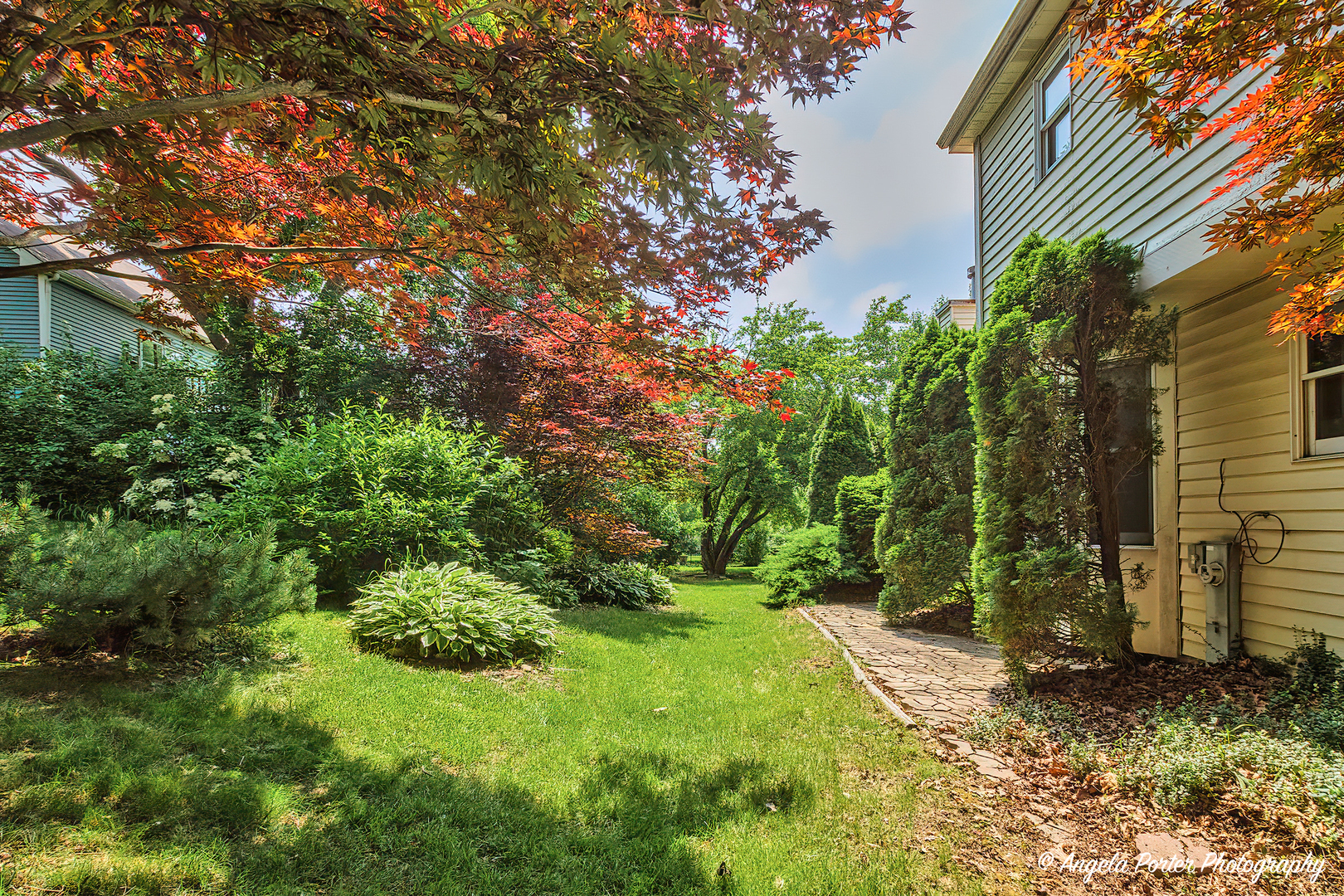1003 White Pine Drive