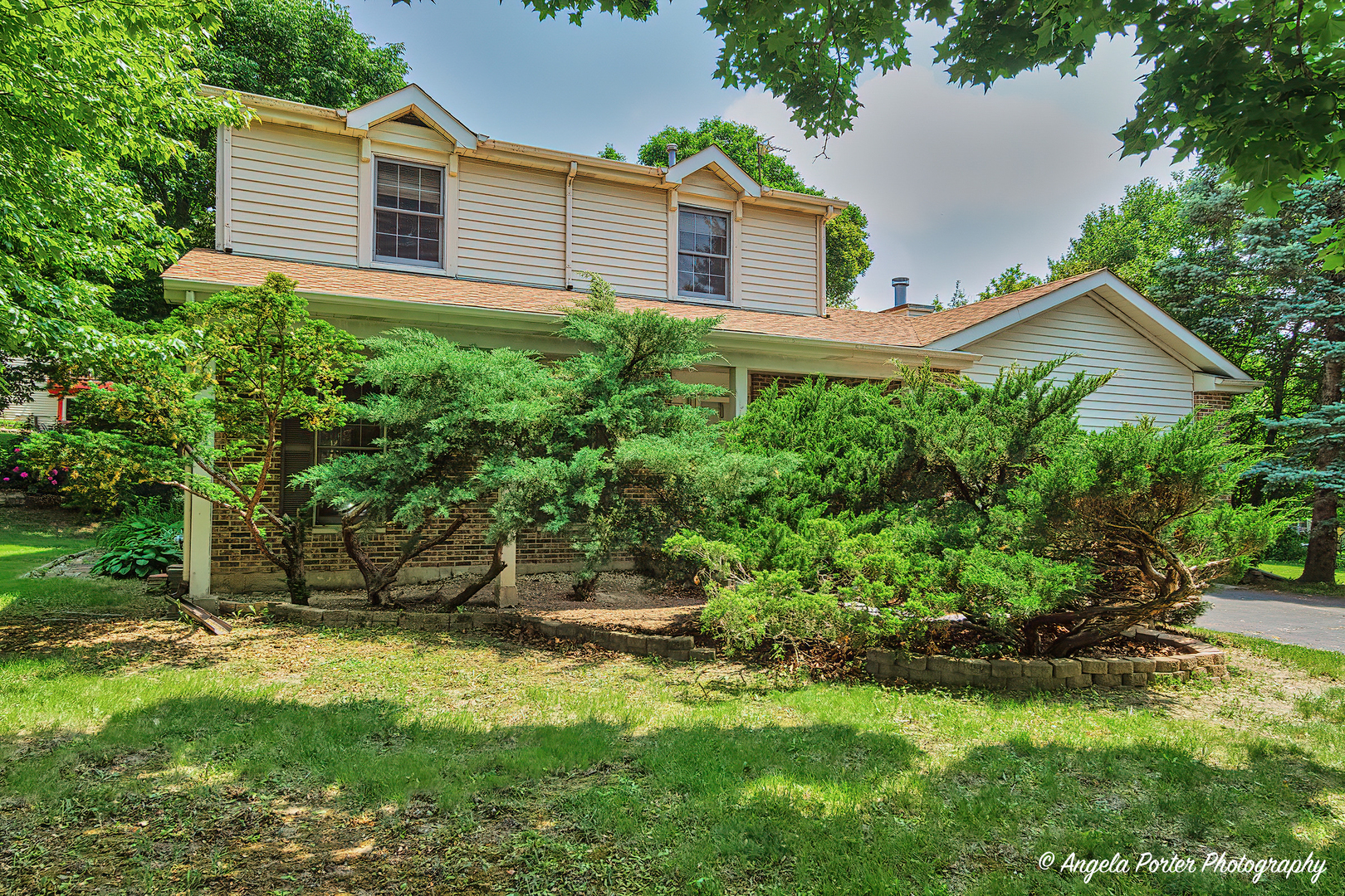 1003 White Pine Drive