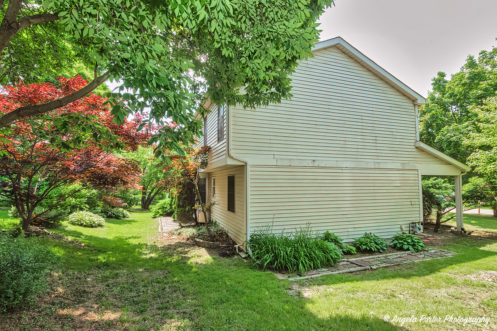 1003 White Pine Drive