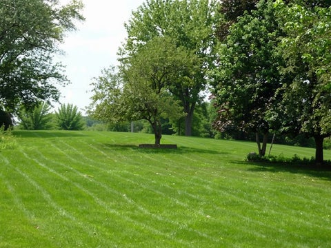 MLS: 12739351