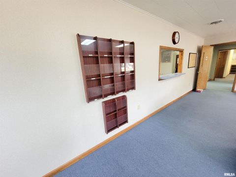 Tiny photo for 119 W 2ND Street, Flora, IL 62839 (MLS # EB459745)