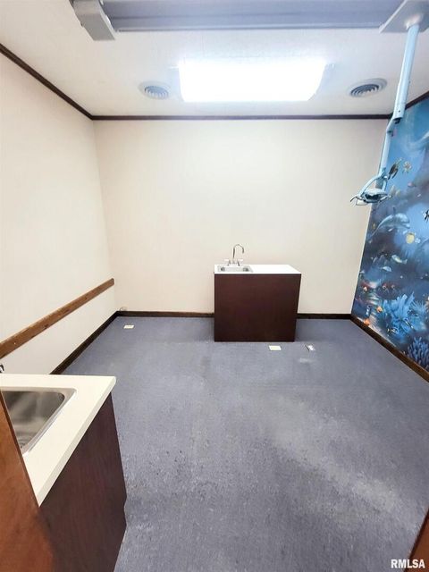 Tiny photo for 119 W 2ND Street, Flora, IL 62839 (MLS # EB459745)