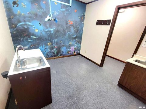 Tiny photo for 119 W 2ND Street, Flora, IL 62839 (MLS # EB459745)