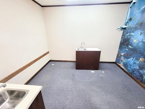 Tiny photo for 119 W 2ND Street, Flora, IL 62839 (MLS # EB459745)