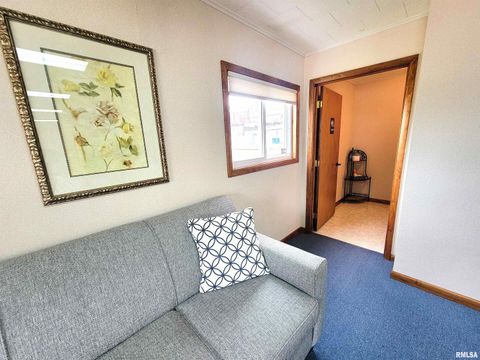 Tiny photo for 119 W 2ND Street, Flora, IL 62839 (MLS # EB459745)