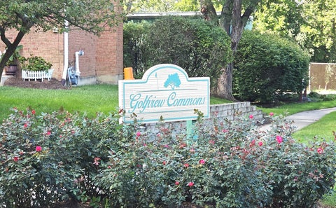 Tiny photo for 262 W GOLFVIEW Terrace, Palatine, IL 60067 (MLS # 12770553)
