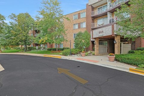 Tiny photo for 245 S Park Lane #409, Palatine, IL 60074 (MLS # 12479129)