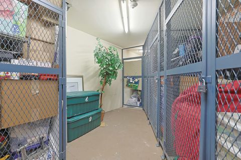 Tiny photo for 245 S Park Lane #409, Palatine, IL 60074 (MLS # 12479129)
