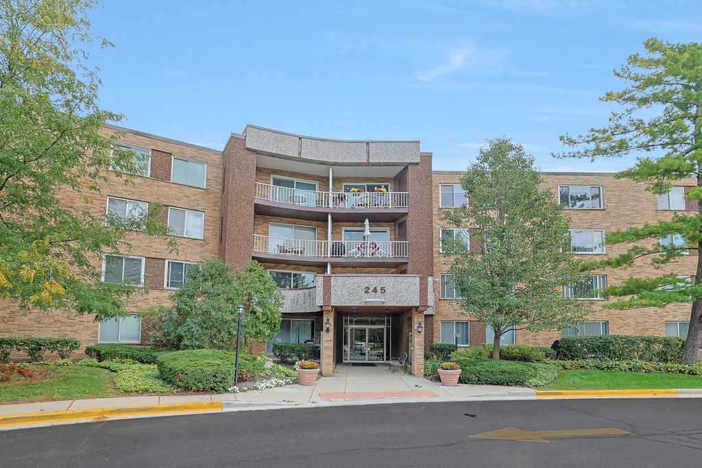 Photo for 245 S Park Lane #409, Palatine, IL 60074 (MLS # 12479129)