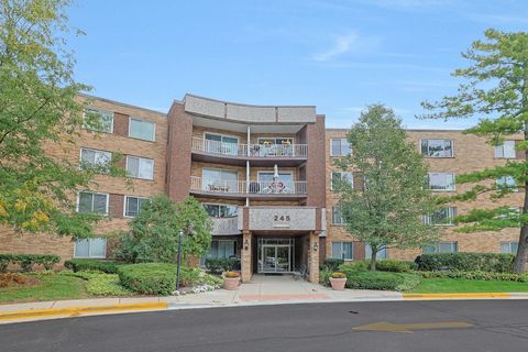 Photo of 245 S Park Lane #409, Palatine, IL 60074 (MLS # 12479129) Photo of 245 S Park Lane #409, Palatine, IL 60074 (MLS # 12479129)