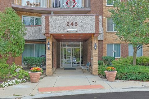 Tiny photo for 245 S Park Lane #409, Palatine, IL 60074 (MLS # 12479129)