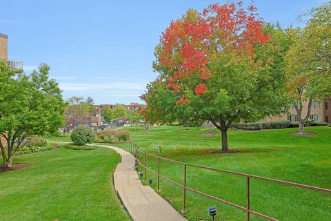 Tiny photo for 245 S Park Lane #409, Palatine, IL 60074 (MLS # 12479129)