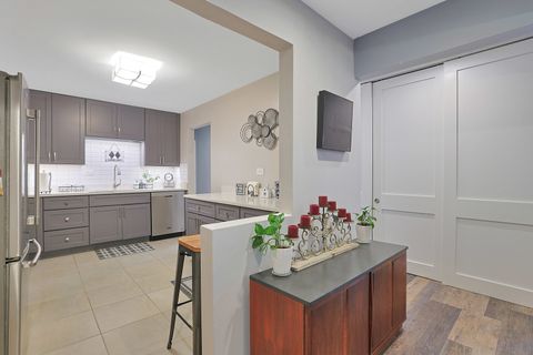 Tiny photo for 245 S Park Lane #409, Palatine, IL 60074 (MLS # 12479129)