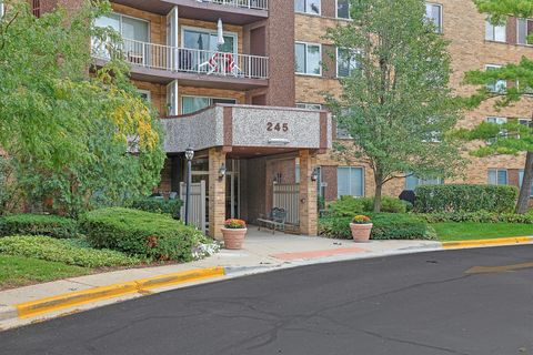 Tiny photo for 245 S Park Lane #409, Palatine, IL 60074 (MLS # 12479129)