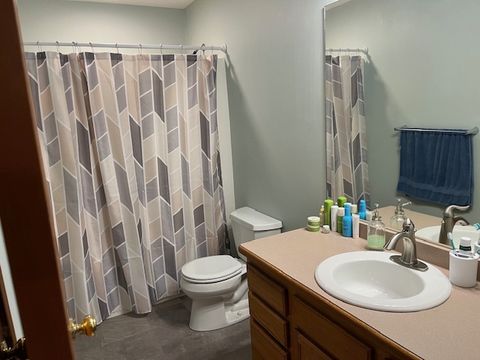 Tiny photo for 1466 Mollie Drive, Morris, IL 60450 (MLS # 12523408)