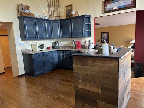 Tiny photo for 1466 Mollie Drive, Morris, IL 60450 (MLS # 12523408)