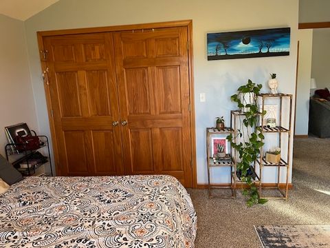 Tiny photo for 1466 Mollie Drive, Morris, IL 60450 (MLS # 12523408)