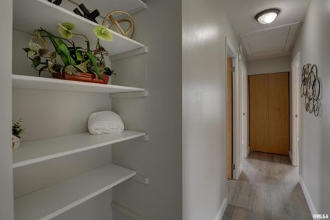 Tiny photo for 3329 CHESTNUT Street, Quincy, IL 62301 (MLS # QC4267733)