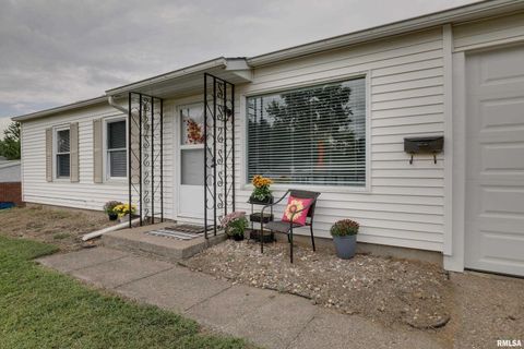 Tiny photo for 3329 CHESTNUT Street, Quincy, IL 62301 (MLS # QC4267733)