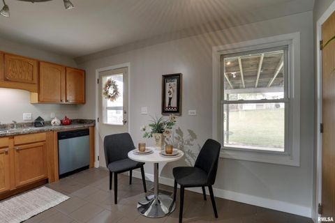 Tiny photo for 3329 CHESTNUT Street, Quincy, IL 62301 (MLS # QC4267733)