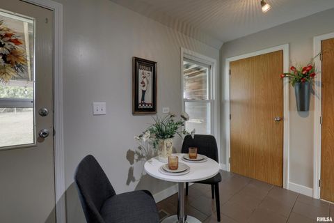 Tiny photo for 3329 CHESTNUT Street, Quincy, IL 62301 (MLS # QC4267733)