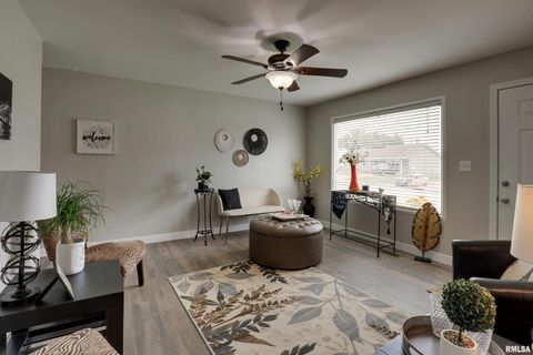 Tiny photo for 3329 CHESTNUT Street, Quincy, IL 62301 (MLS # QC4267733)