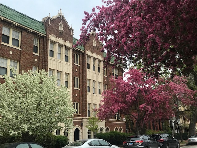 1824 N Lincoln Park West 304