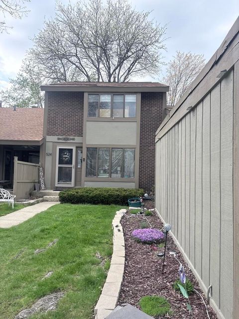Photo of 524 Yosemite Court, Roselle, IL 60172 (MLS # 12629590)