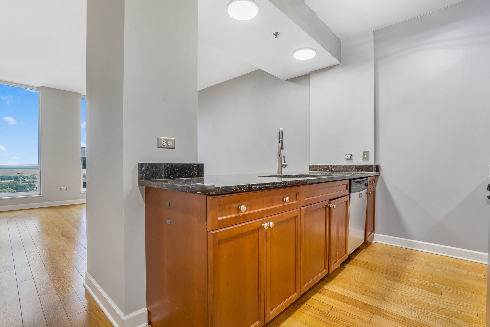 1400 S MICHIGAN Avenue 1501