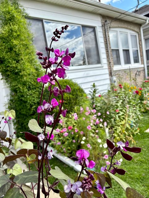Tiny photo for 5252 N Leamington Avenue, Chicago, IL 60630 (MLS # 12488422)