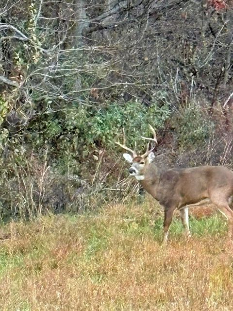 Tiny photo for 7059 Midway Road, Metropolis, IL 62960 (MLS # 12624200)