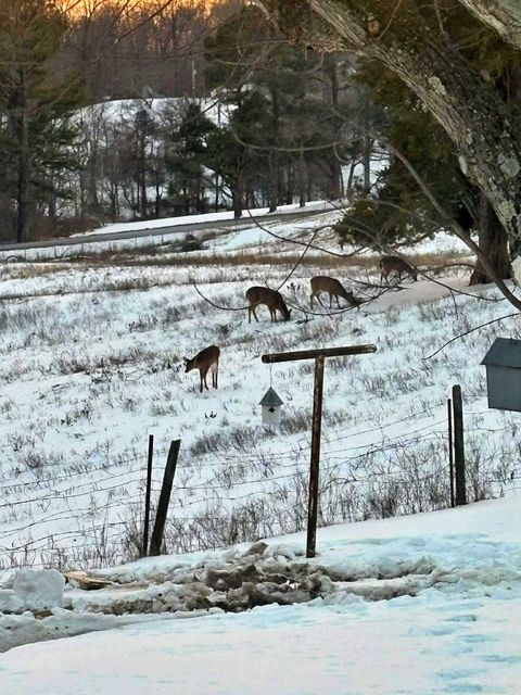 Tiny photo for 7059 Midway Road, Metropolis, IL 62960 (MLS # 12624200)