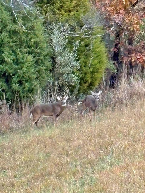 Tiny photo for 7059 Midway Road, Metropolis, IL 62960 (MLS # 12624200)