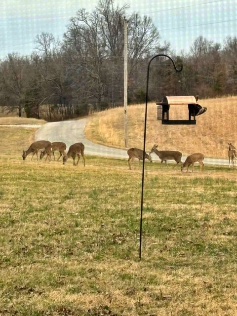 Tiny photo for 7059 Midway Road, Metropolis, IL 62960 (MLS # 12624200)