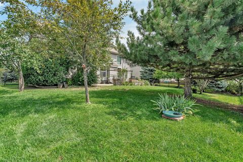 Tiny photo for Bolingbrook, IL 60490 (MLS # 12403808)