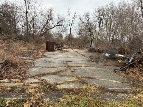 Tiny photo for 25241 S Will Center Road, Monee, IL 60449 (MLS # 12544688)