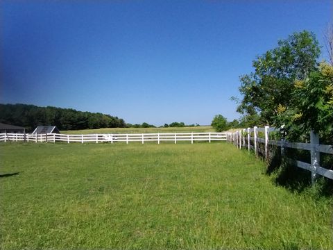 Tiny photo for 29153 S Klemme Road, Beecher, IL 60401 (MLS # 12406801)