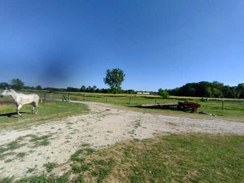 Tiny photo for 29153 S Klemme Road, Beecher, IL 60401 (MLS # 12406801)