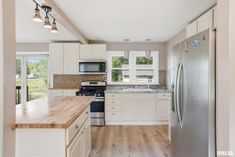 Tiny photo for 1011 36TH Avenue, East Moline, IL 61244 (MLS # QC4270108)