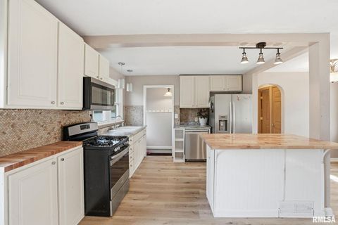 Tiny photo for 1011 36TH Avenue, East Moline, IL 61244 (MLS # QC4270108)