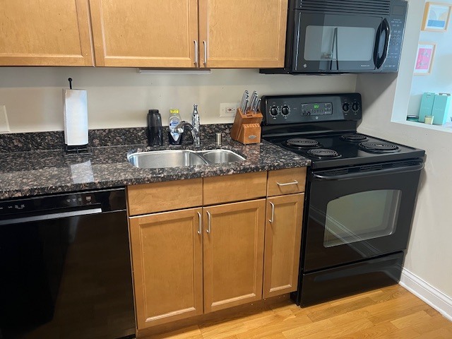 474 N LAKE SHORE Drive 5303