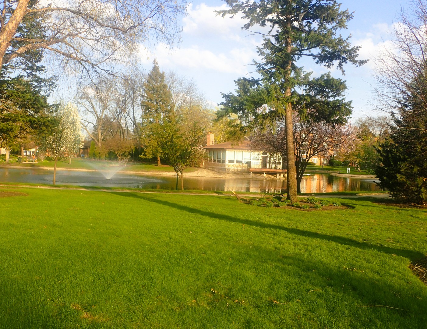 1127 S Old Wilke Road 101