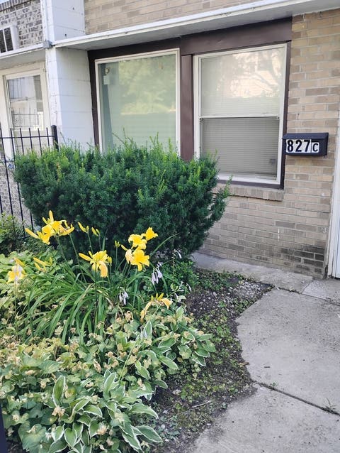 Photo of 827 E 48th Street #C, Chicago, IL 60615 (MLS # 12670926)