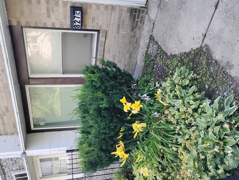 Tiny photo for 827 E 48th Street #C, Chicago, IL 60615 (MLS # 12670926)