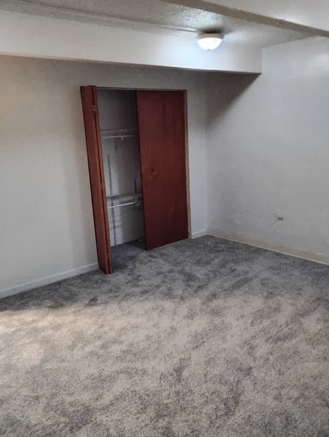Tiny photo for 827 E 48th Street #C, Chicago, IL 60615 (MLS # 12670926)