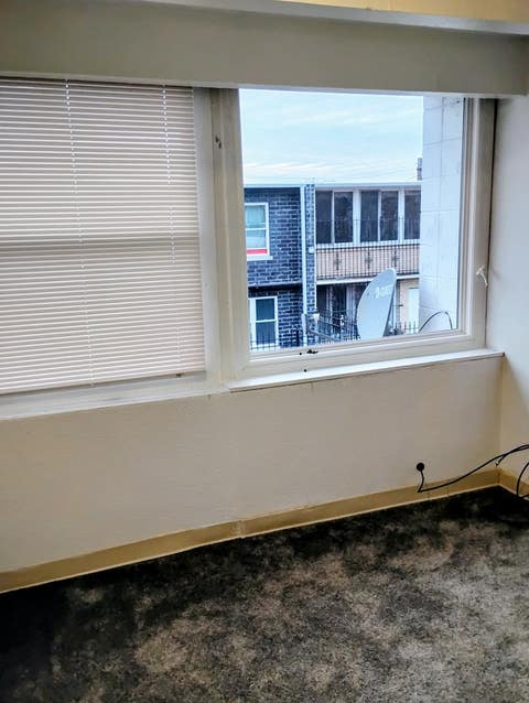 Tiny photo for 827 E 48th Street #C, Chicago, IL 60615 (MLS # 12670926)