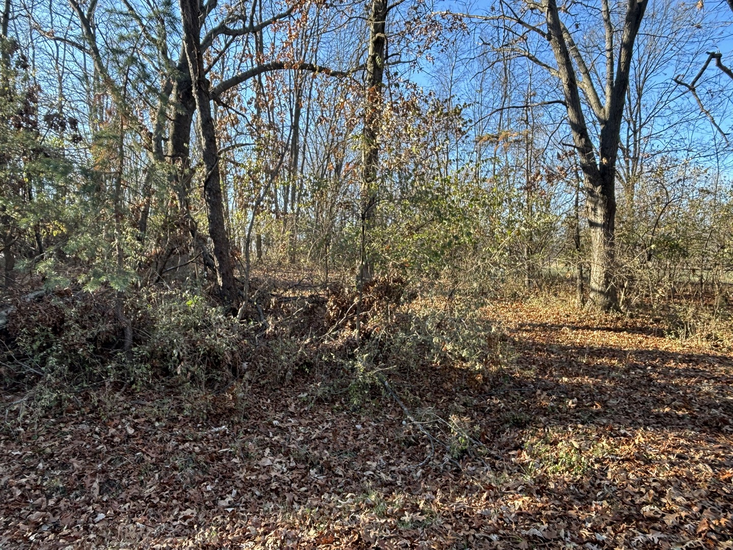 617 Brookside Drive