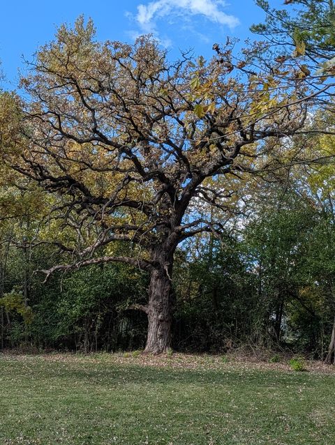 Tiny photo for 23689 W Old Petite Lake Road, Lake Villa, IL 60046 (MLS # 12506761)