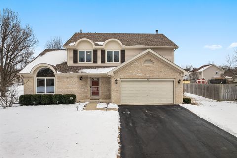 13 Callery Court Bolingbrook IL 60490